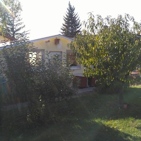 ברטיסלאבה Greenhouse Just 15 Min From The Old Town מראה חיצוני תמונה